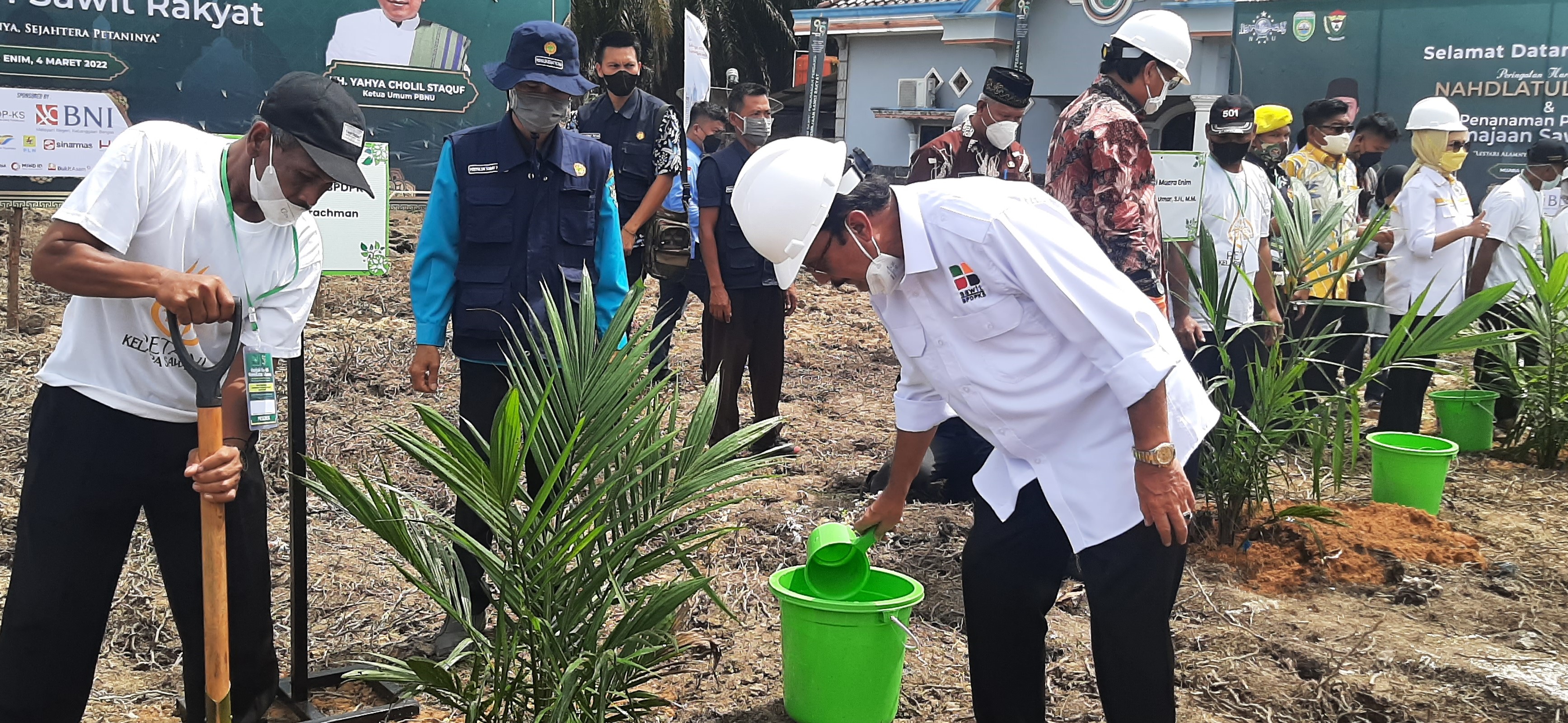 Penanaman Perdana Sawit Rakyat