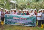 Research Shows Palm Oil Produces Lower Emission