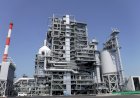 Japan to Build 90 Biomass-based Power Plants Powered with Palm Kernel Sheel