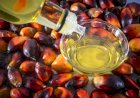 Minyak Sawit sebagai Sumber Bahan Pangan Global