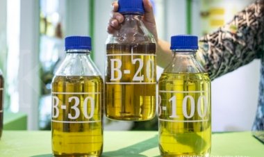 Biodiesel MPI for December 2019 Set Higher at Rp7.914