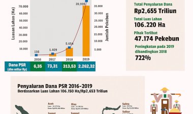 Peremajaan Sawit Rakyat 2016-2019