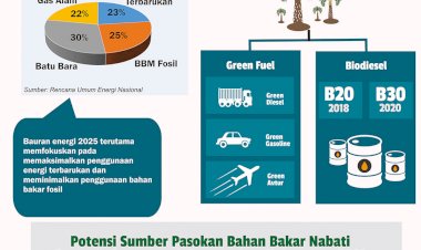 Sawit untuk Energi Terbarukan