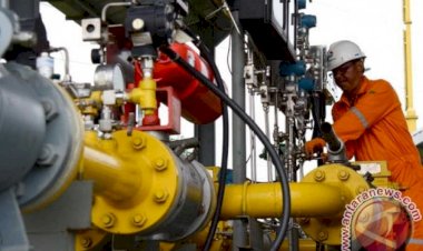 Lower Gas Price Improves Competitiveness in Oleochemical Industry