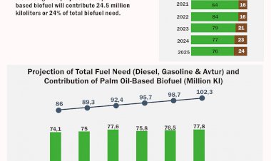 Projection of Contribution of Palm Oil-Based Biofuel to Meet Fuel Needs