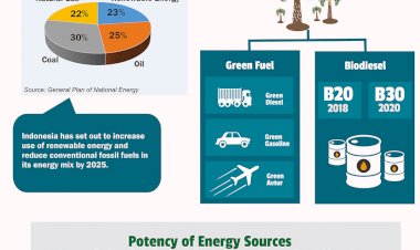 Palm Oil for Renewable Energy