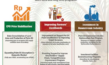 BPDPKS' Strategic Effort to Improve Performance of Palm Oil Sector