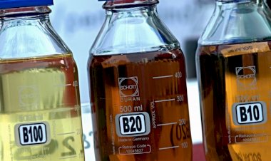 Govt to Wrap up Trial Use of B40 by the End of This Year