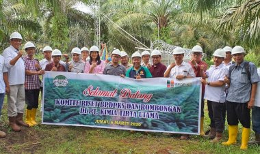 Emisi Kelapa Sawit Terbukti Rendah