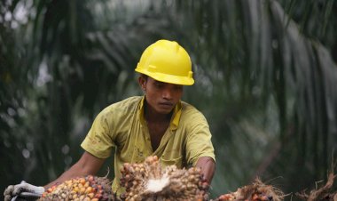 BPDPKS Gelar Program Penguatan Kelembagaan dan Pemberdayaan UMK Sawit