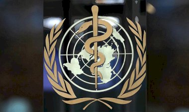 Indonesia Complains to WHO on Disinformation Campaign About Palm Oil and COVID-19