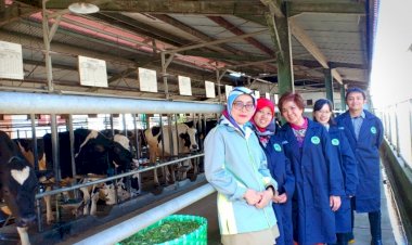 ITB Develops PFAD as Feed Resources for Ruminants to Increase Milk Production