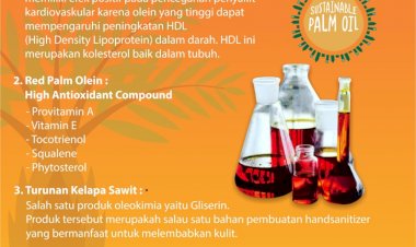 Manfaat Kelapa Sawit di Saat Pandemic COVID-19