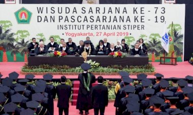 Palm Oil College Graduates Can be Recruited to Assist Farmers