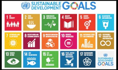 Studies on the Role of Vegetable Oil in Achieving SDGs Deemed Necessary