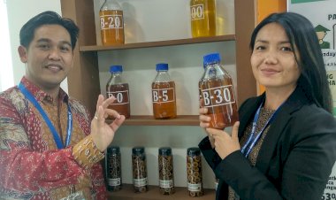 Biodiesel Market Price for July 2020 Set Higher at Rp7.321