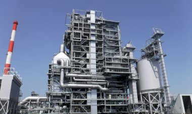 Ancang-ancang Jepang Bangun 90 PLTBm Berbahan Bakar Cangkang Sawit