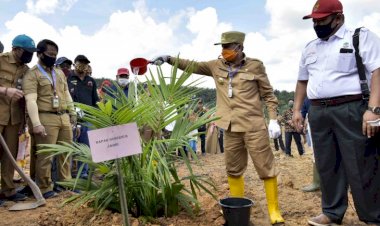 Jambi Dorong Replanting Sawit Jadi Basis Peningkatan Ekonomi Rakyat