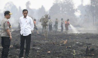 Govt Predicts Fewer Forest and Lands Fires This Year