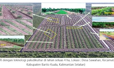 PALUDIKULTUR, Kunci Sukses PSR