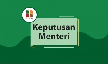 Mendag Ajak Pengusaha Lawan Kampanye Negatif Sawit