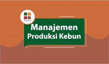 Manajemen Produksi Kebun untuk Peningkatan Produktivitas Kelapa  Sawit dengan Penerapan Sistem Pendukung Keputusan