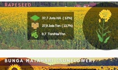 Sawit Sumber Minyak Nabati Dunia yang Paling Efisien