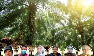 eNose-G Solusi Deteksi Dini Ganoderma