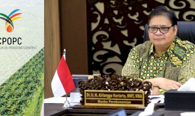 Menko Airlangga: Mandatori B30 Berhasil Stabilkan Harga dan Sejahterakan Petani Kelapa Sawit