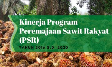 Kinerja Program Peremajaan Sawit Rakyat (PSR) BPDPKS Tahun 2016 s.d. 2020