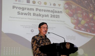Percepatan Program Peremajaan Sawit Rakyat Melalui Kemitraan