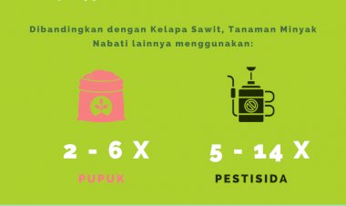 Efisien Gunakan Pupuk dan Pestisida, Kelapa Sawit Lebih Ramah Lingkungan Dibandingkan Tanaman Minyak Nabati Lainnya