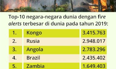 Top 10 Negara dengan Kebakaran Hutan dan Lahan (Karhutla) di Dunia: Indonesia Tidak Termasuk