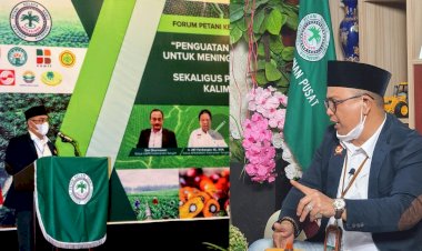 5 Faktor Penguatan Harga Minyak Sawit yang Mampu Pukau Dunia