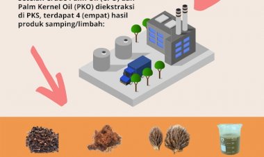 Daur Ulang Limbah Kelapa Sawit dalam Produksi CPO