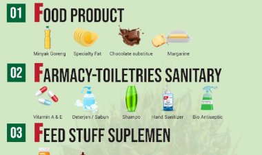 5 Kluster Produk dari Industri Kelapa Sawit untuk Dunia