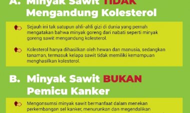 Konsumsi Minyak Sawit dan Kesehatan Tubuh