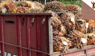 B30, Upaya Pemerintah Ringankan Beban Negara