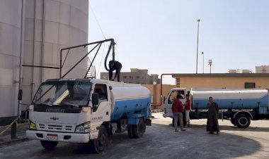 Permintaan Kelapa Sawit Meningkat di Mesir, Importir Harapkan Indonesia Tingkatkan Suplai Minyak Sawit ke Mesir