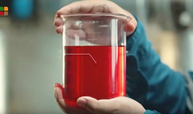 Mengenal IVO (Industrial Vegetable Oil)