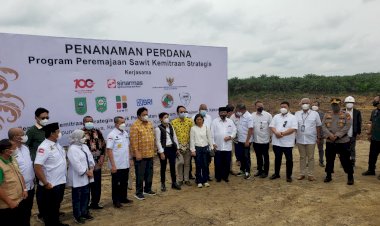 Dorong Peremajaan Sawit Rakyat (PSR), BPDPKS Jalin Kemitraan Strategis Perusahaan dan Petani Swadaya