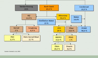 Neraca Massa Pengolahan Minyak Sawit