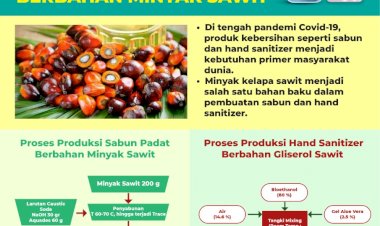 Infografis: Mengenal Proses Produksi Sabun & Handsanitizer Berbahan Minyak Sawit