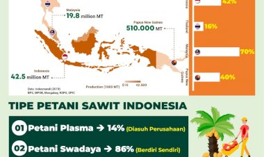 Infografis: Sekilas Tentang Petani Kelapa Sawit Indonesia