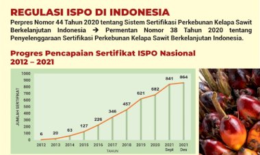 Infografis: Progres Sertifikasi Kelapa Sawit Berkelanjutan Indonesia