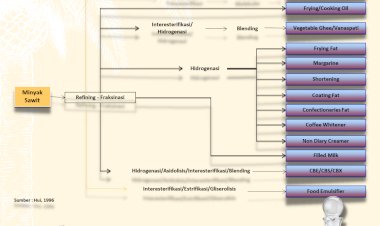 Infografis: Pengolahan Minyak Sawit Menjadi Beberapa Produk Pangan