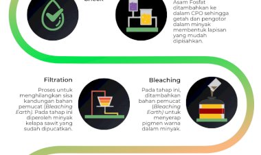 Infografis: Proses Penyulingan Minyak Kelapa Sawit