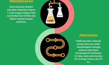 Infografis: Proses Produksi Biodiesel