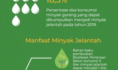Infografis: Potensi Minyak Jelantah