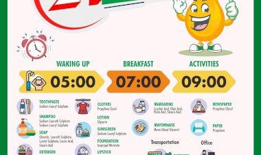 24 Hours With Palm Oil